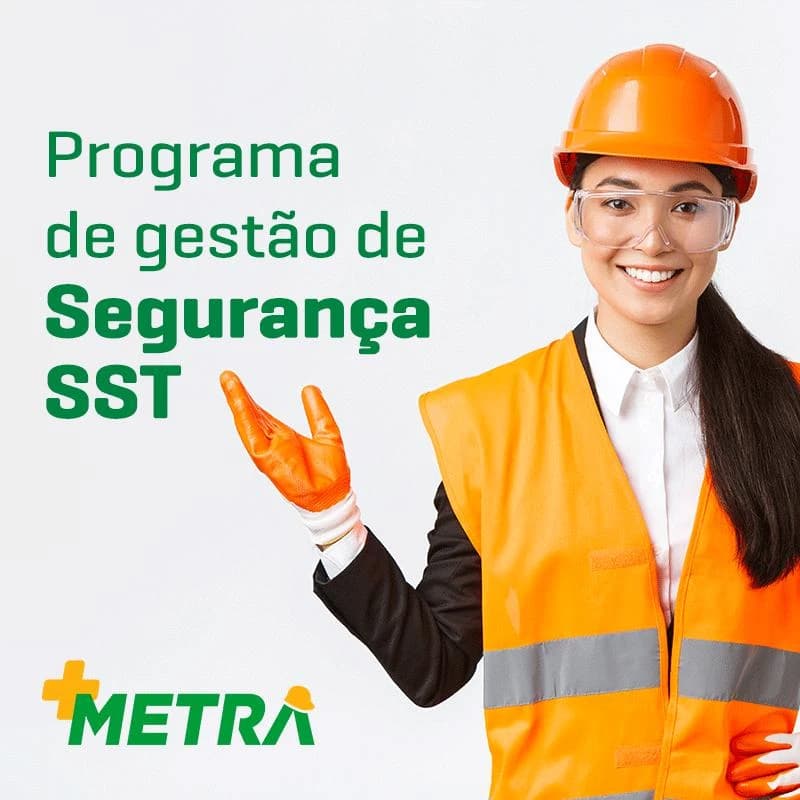 Imagem Programa de gestão de segurança sst