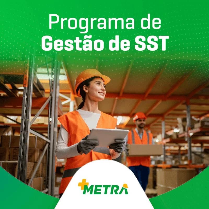 Imagem Programa de gestão de sst